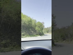 Резиновые изгибаемые задние мотыльщики Модные задние ветровые мотыльщики Замена